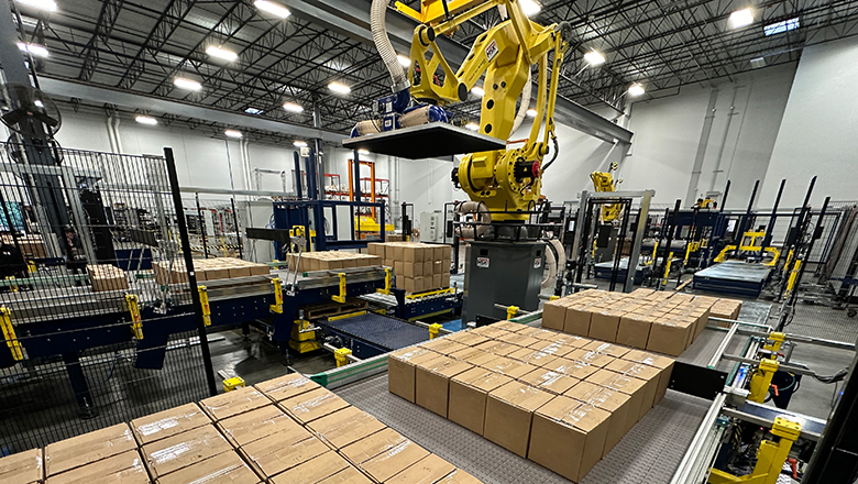 robotized arm for palletizing